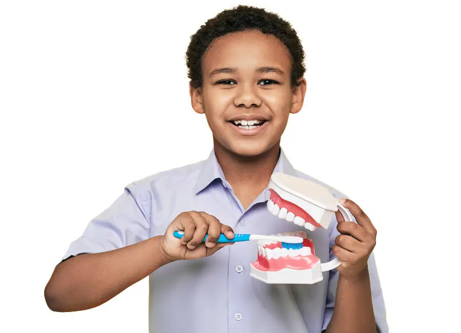 Cedar Smiles Cosmetic & Family Dentistry Brushing Your Teeth